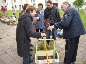 Echange de plantes