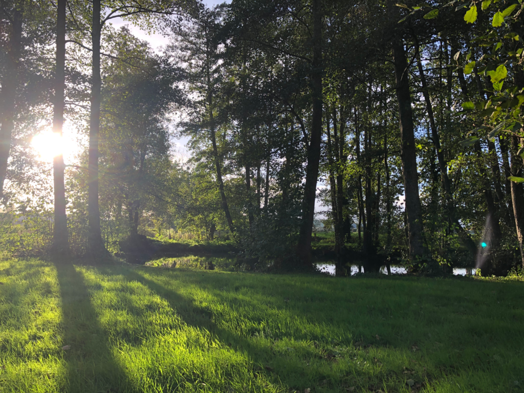 Saint-Gilles et sa nature