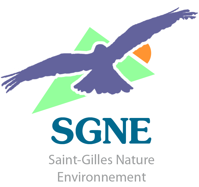 Logo SGNE