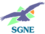 Logo SGNE
