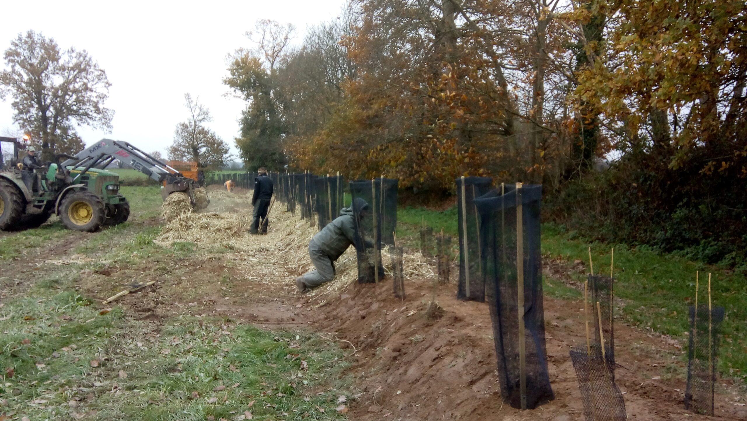 Plantation de haies entre Saint-Gilles et Clayes